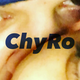 Illustration for article titled Rob Kardashian and Blac Chyna Are Still Together, Have Officially Named Themselves ChyRo